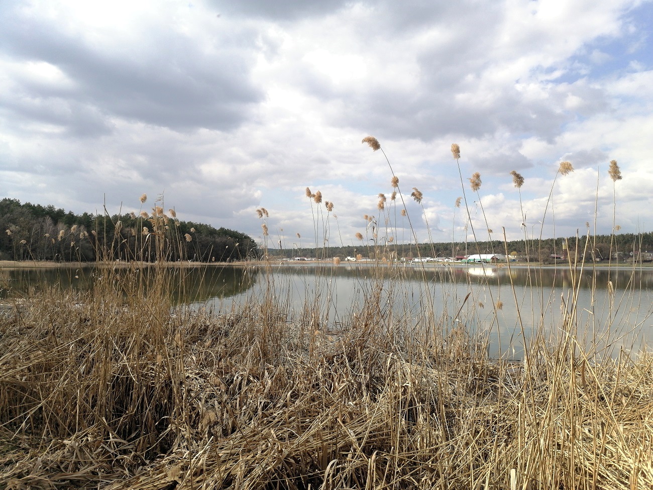 Каскады озер и весенние пейзажи: лучшие локации для пикника рядом с Киевом